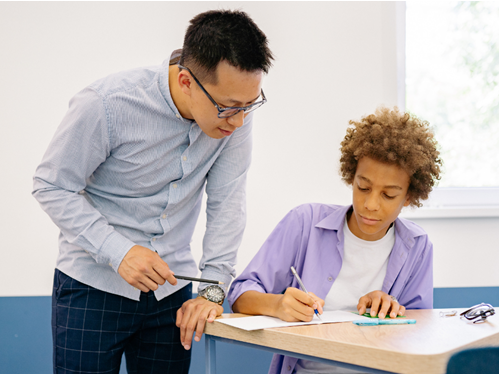 Two teachers collaborating